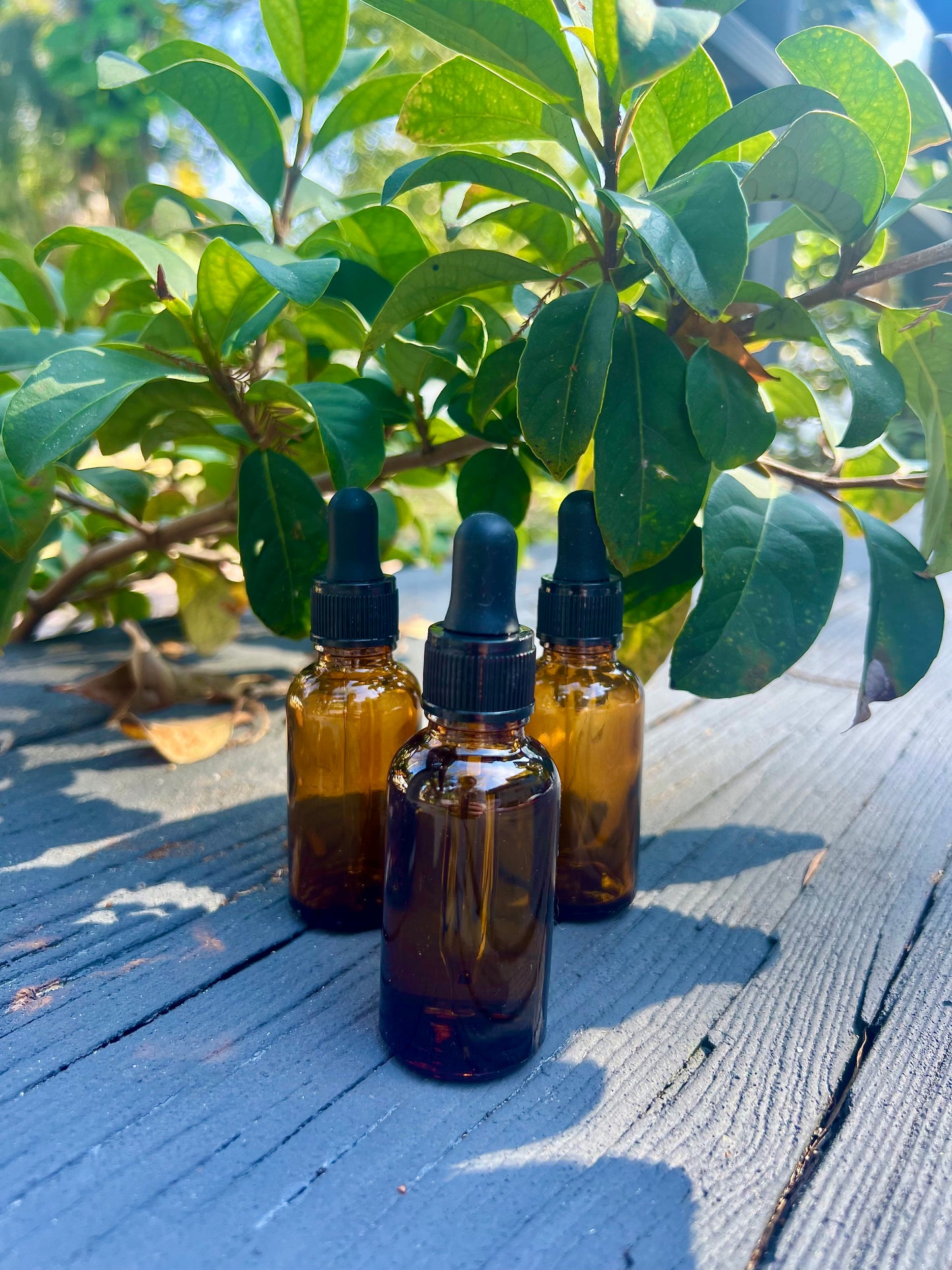 Placenta Tincture